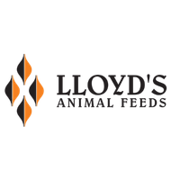 Client logo 9